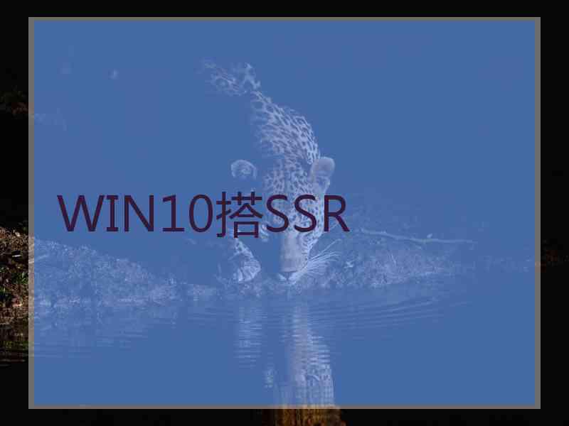 WIN10搭SSR