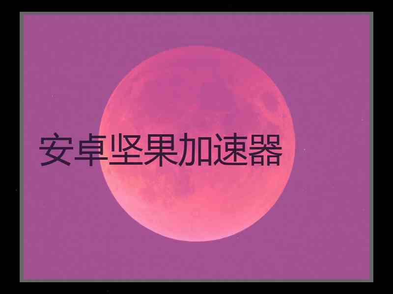 安卓坚果加速器