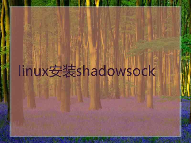 linux安装shadowsock