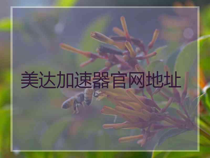 美达加速器官网地址