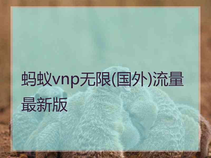 蚂蚁vnp无限(国外)流量最新版