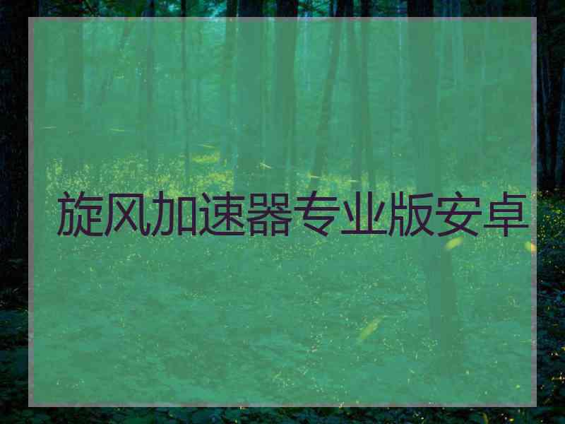 旋风加速器专业版安卓