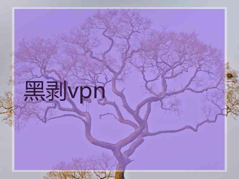 黑剥vpn