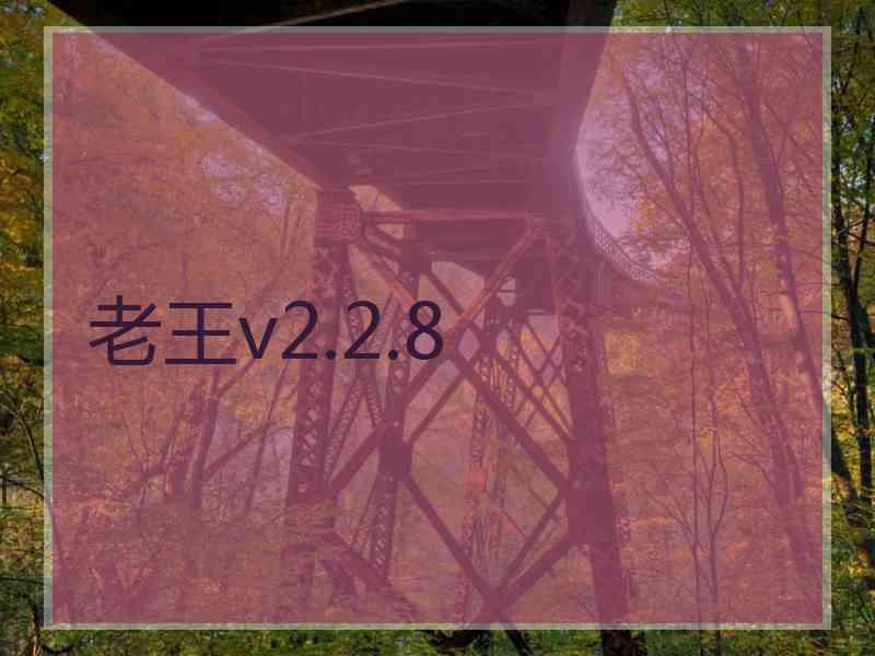 老王v2.2.8