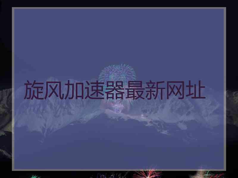 旋风加速器最新网址