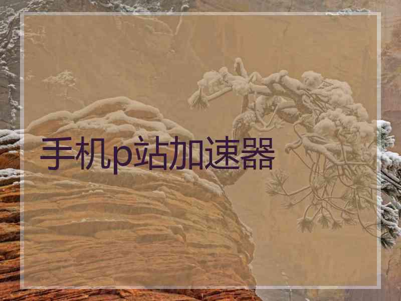 手机p站加速器