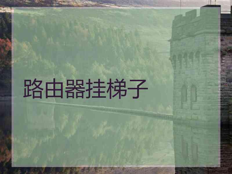 路由器挂梯子