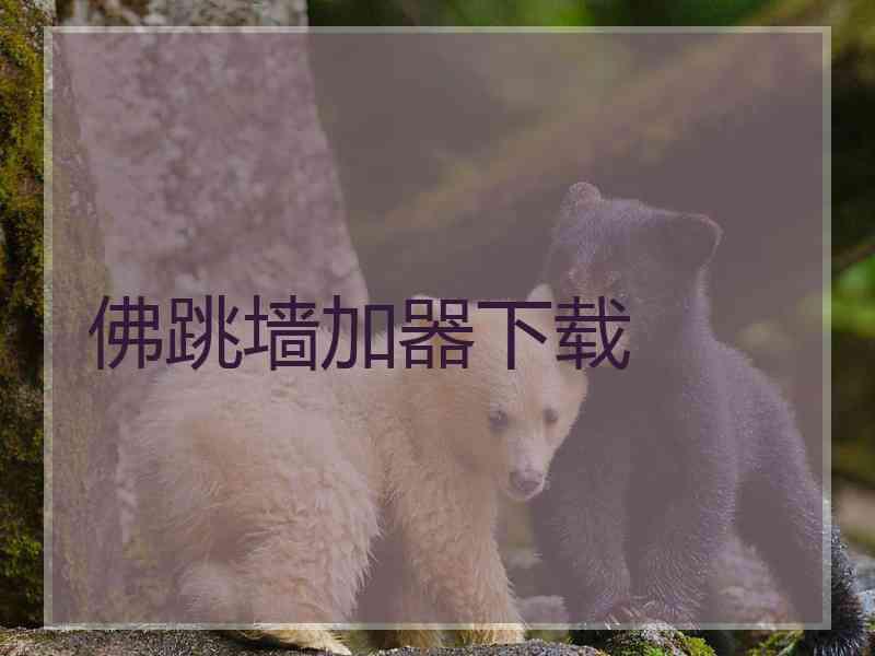 佛跳墙加器下载
