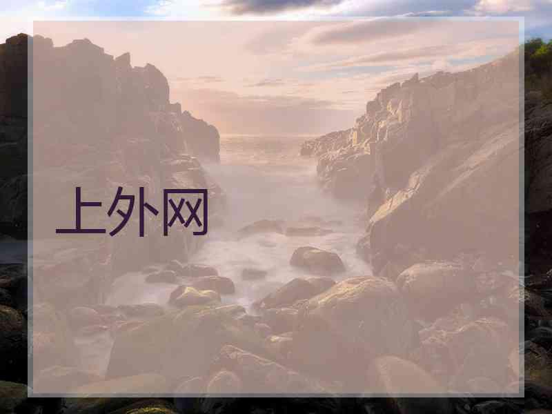 上外网