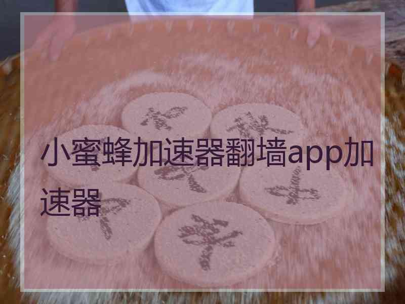 小蜜蜂加速器翻墙app加速器