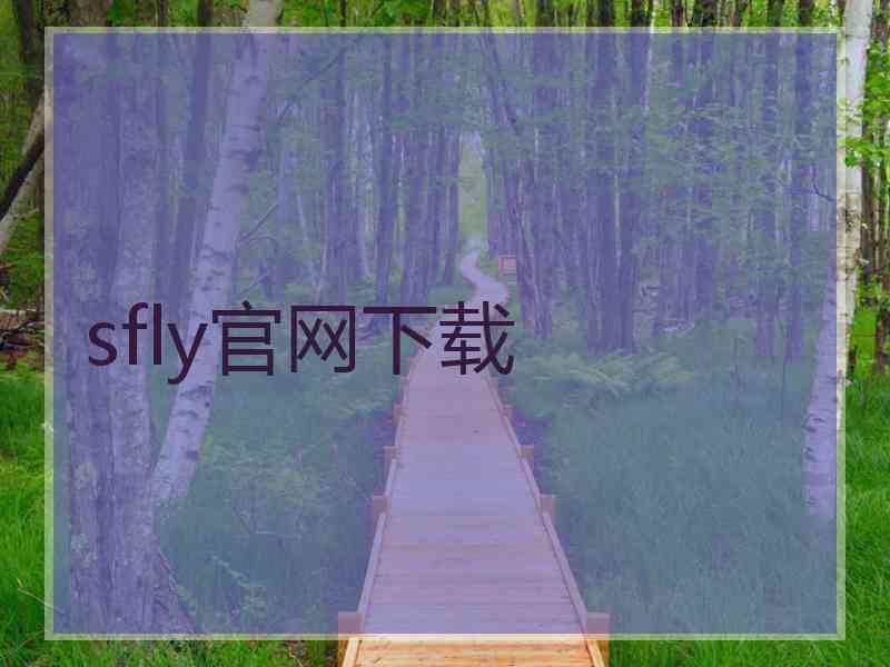 sfly官网下载