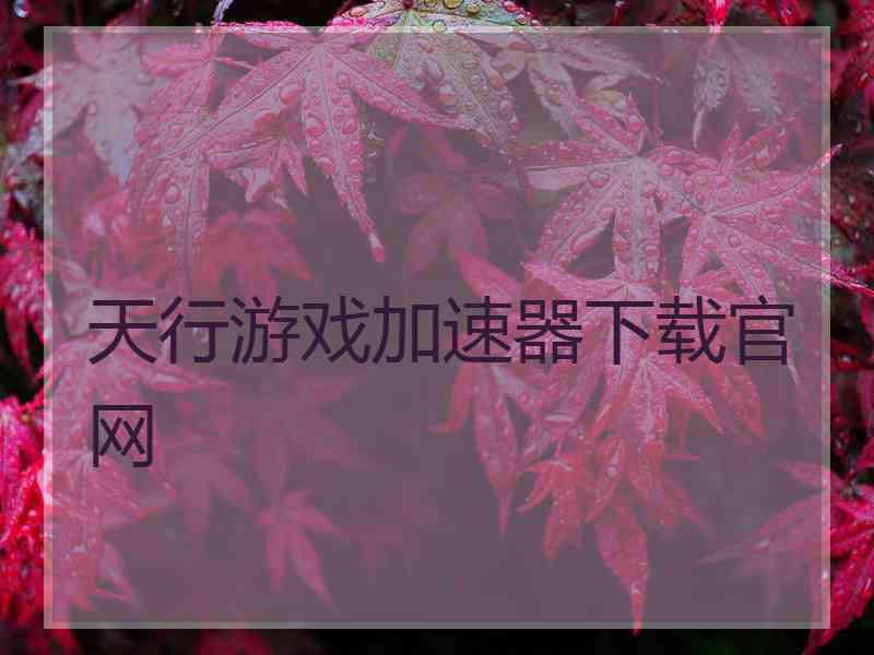 天行游戏加速器下载官网