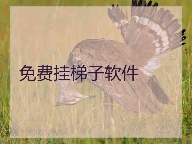 免费挂梯子软件