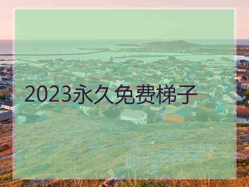 2023永久免费梯子