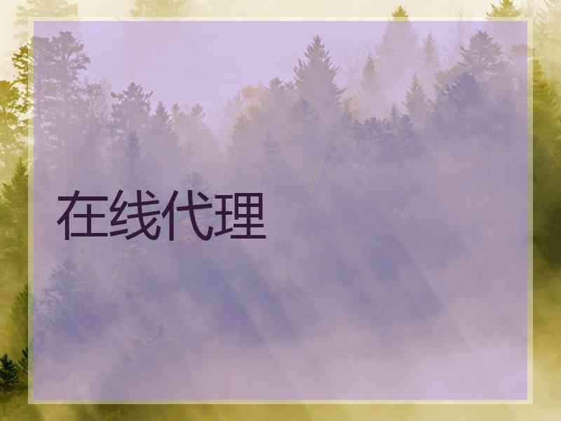 在线代理