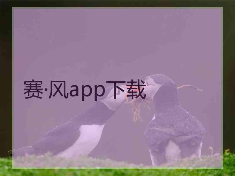 赛·风app下载