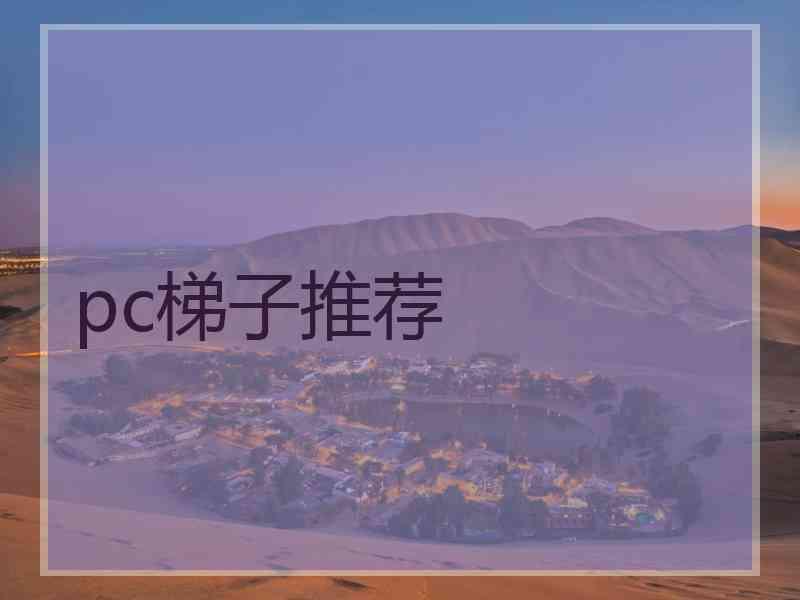 pc梯子推荐