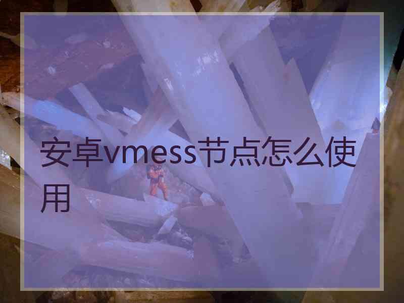 安卓vmess节点怎么使用