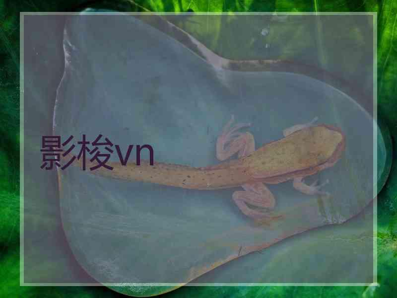 影梭vn
