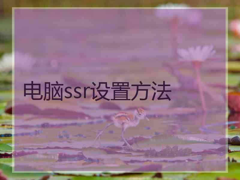 电脑ssr设置方法