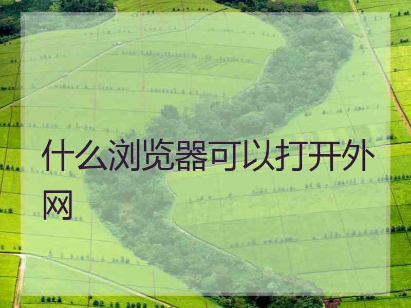 什么浏览器可以打开外网