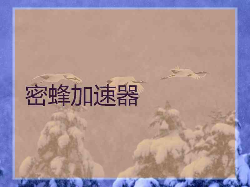 密蜂加速器