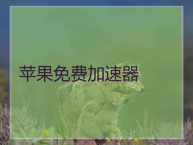 苹果免费加速器