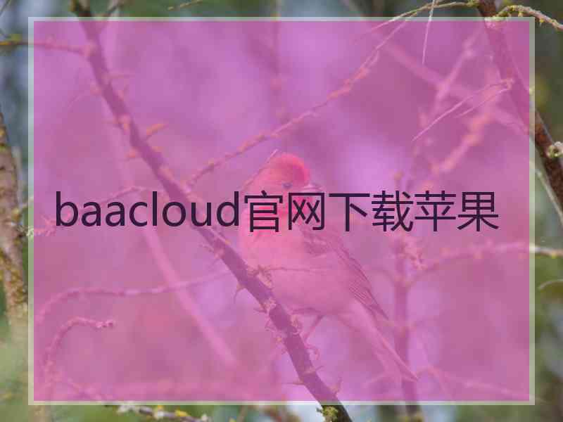 baacloud官网下载苹果