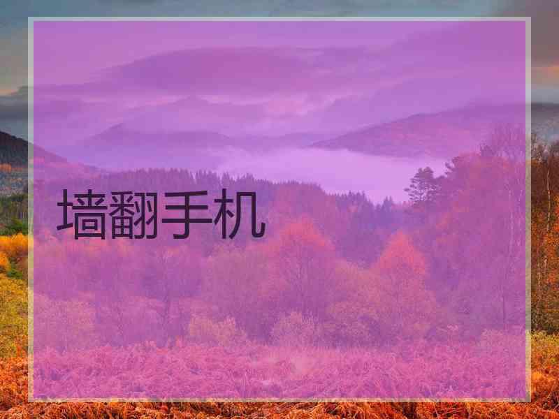 墙翻手机
