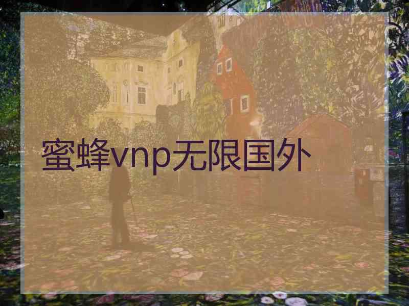 蜜蜂vnp无限国外