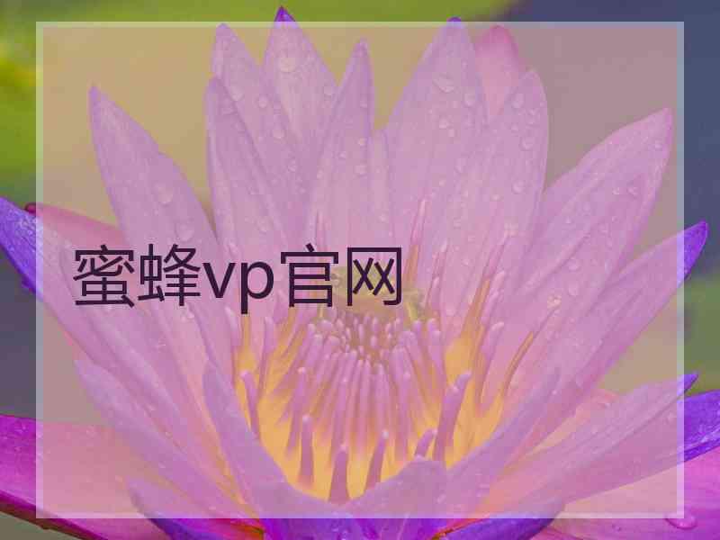 蜜蜂vp官网