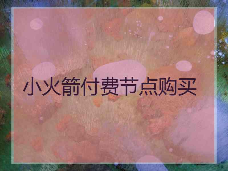小火箭付费节点购买