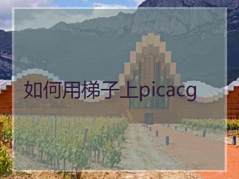 如何用梯子上picacg