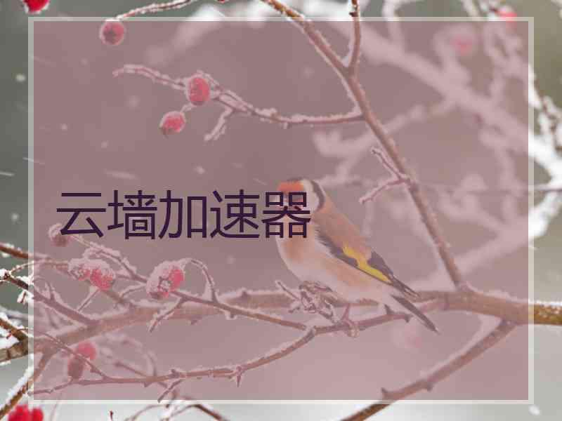 云墙加速器
