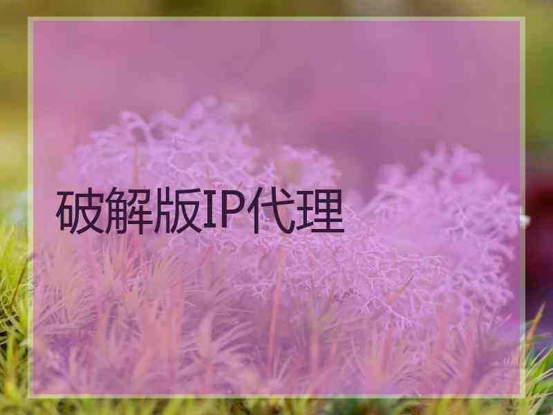 破解版IP代理
