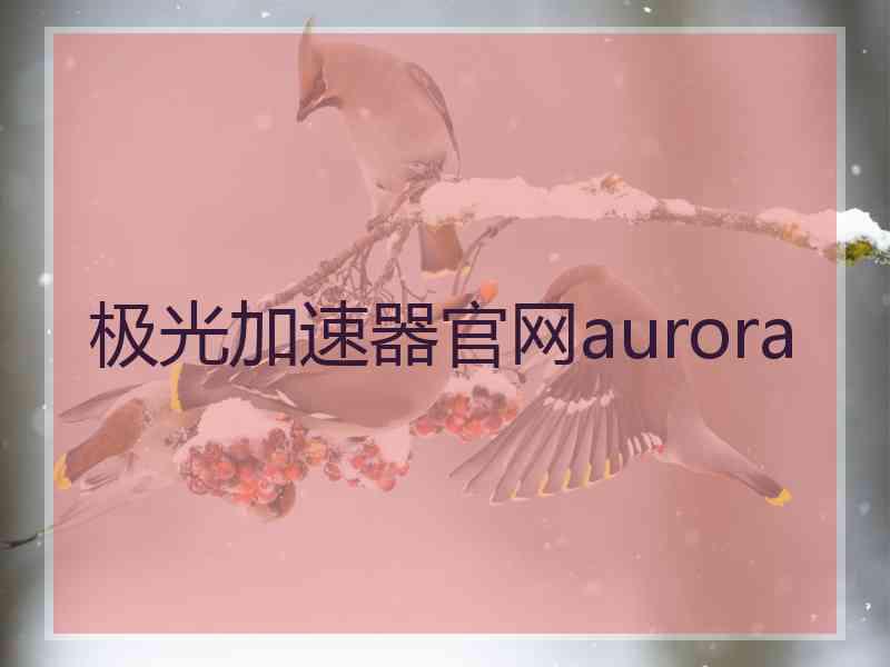 极光加速器官网aurora