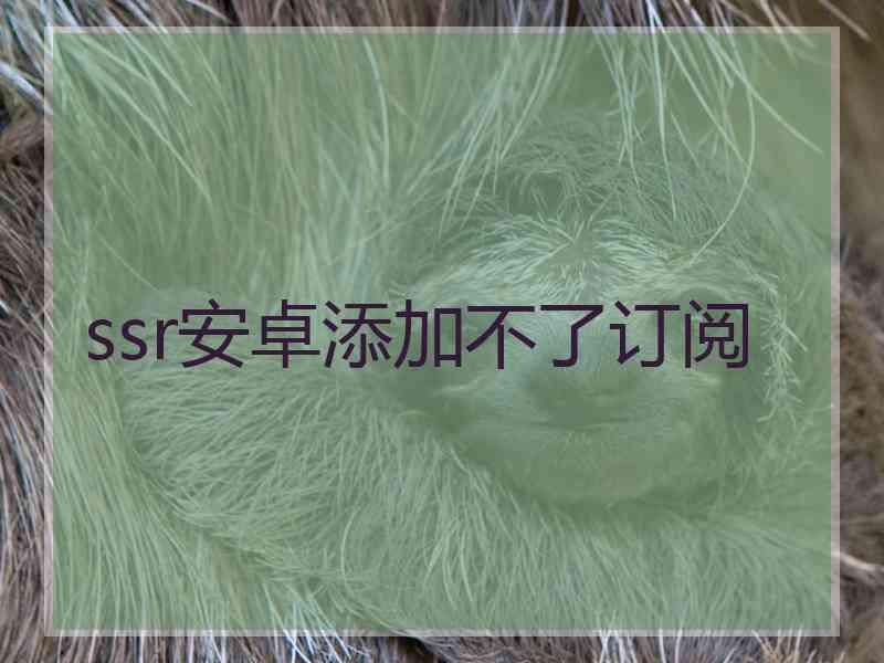 ssr安卓添加不了订阅