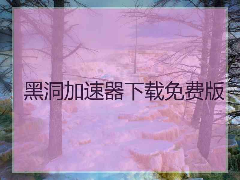 黑洞加速器下载免费版