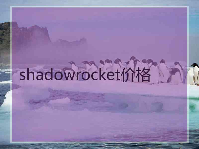 shadowrocket价格