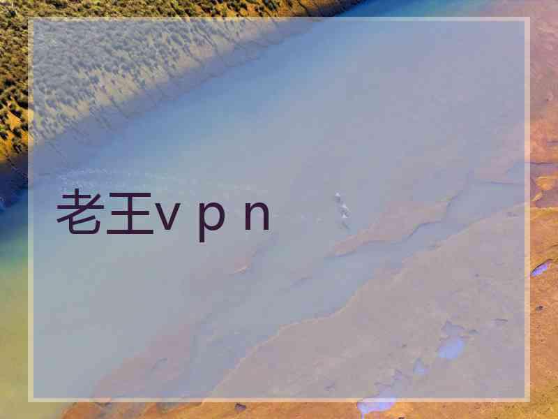 老王v p n