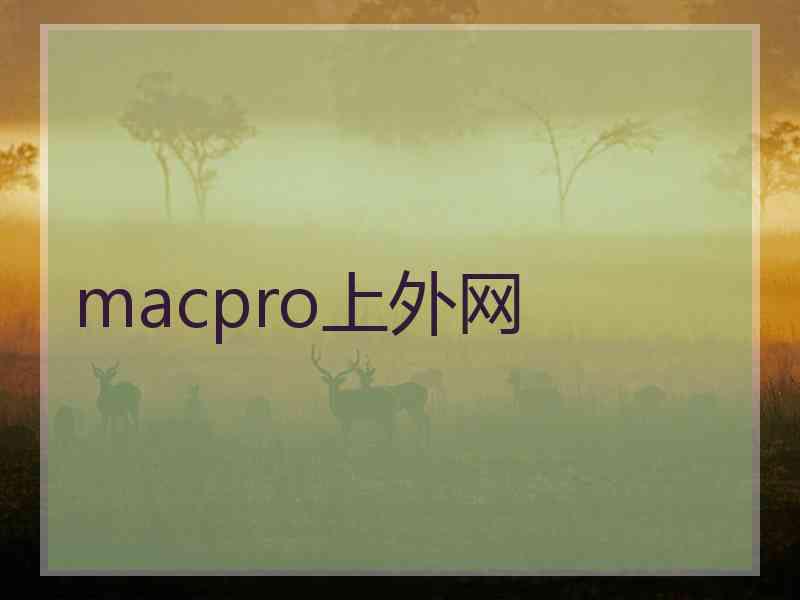 macpro上外网