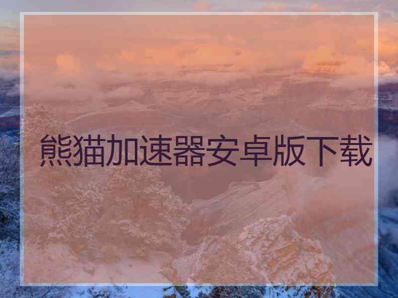 熊猫加速器安卓版下载