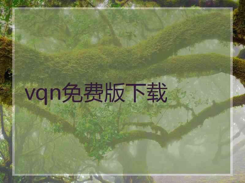 vqn免费版下载