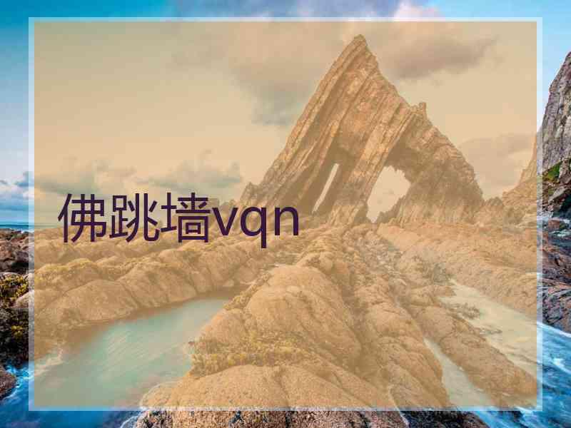 佛跳墙vqn