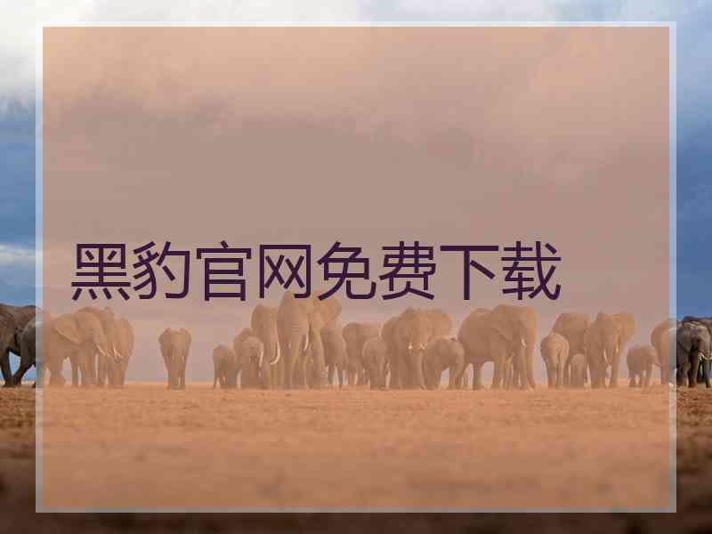 黑豹官网免费下载