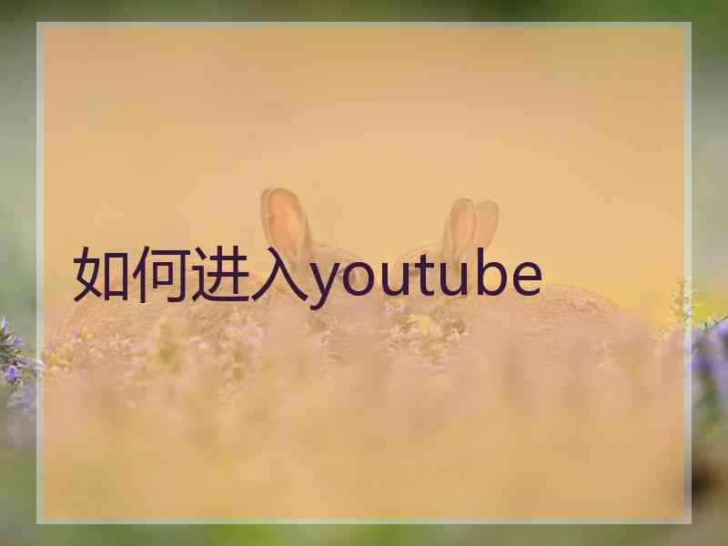 如何进入youtube