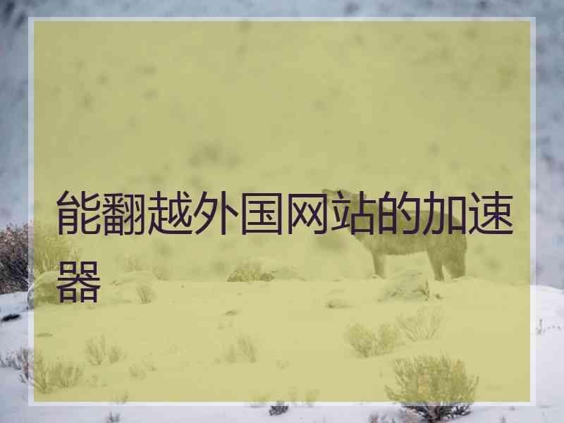 能翻越外国网站的加速器