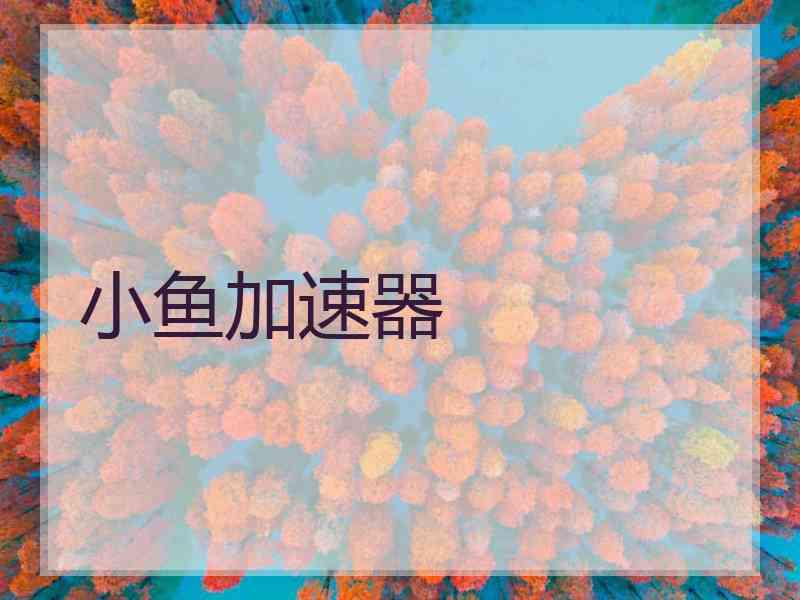 小鱼加速器