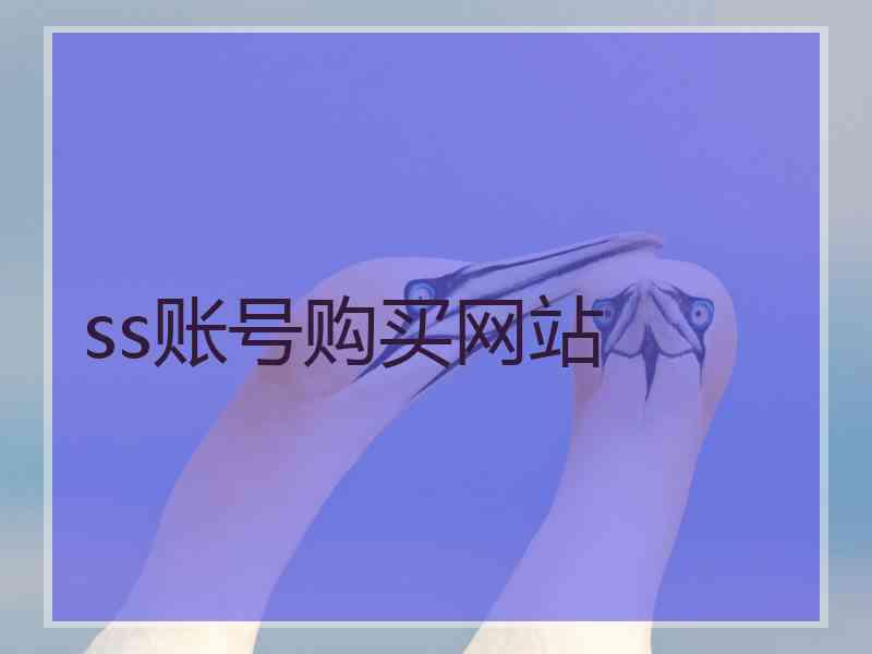 ss账号购买网站