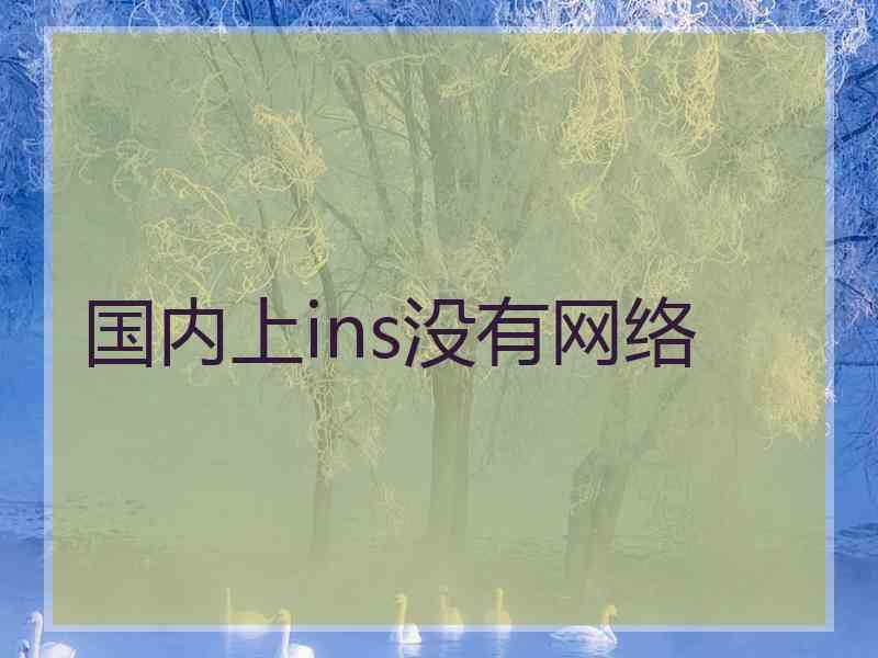 国内上ins没有网络